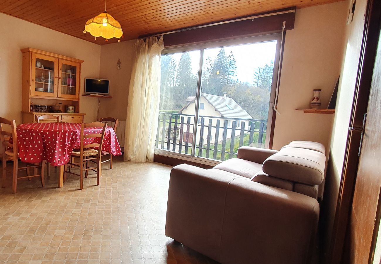 Appartement à Métabief - METABIEF - APPARTEMENT 4 PERSONNES - VILLAGE -  APPA 7TER