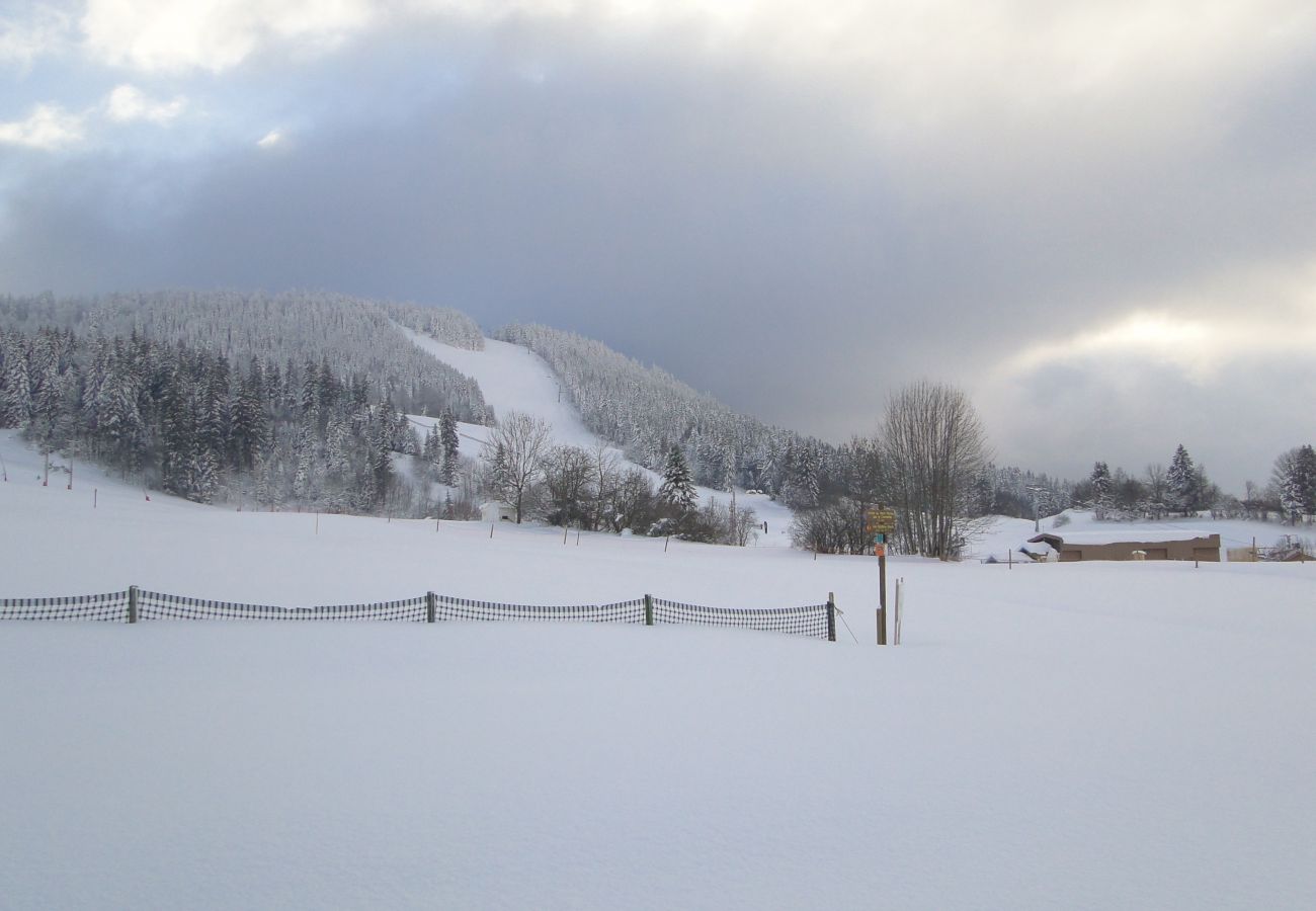 Studio à Métabief - METABIEF - BEAUSOLEIL - Montana Appartement 4 Personnes - APPA BMON1104 
