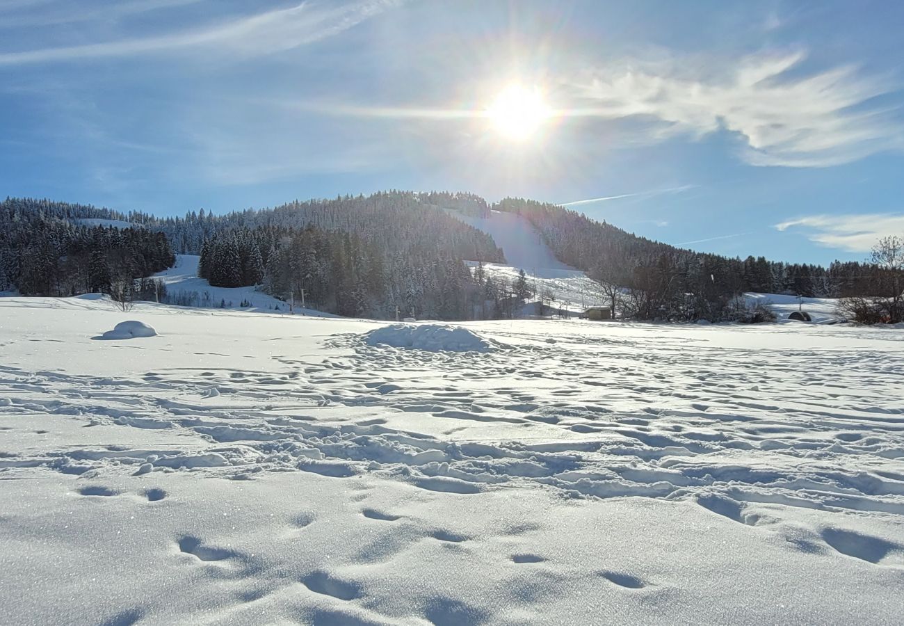 Appartement à Métabief - METABIEF - BEAUSOLEIL - Front des Pistes Appartement 4 Pers -   APPA BFP 103C