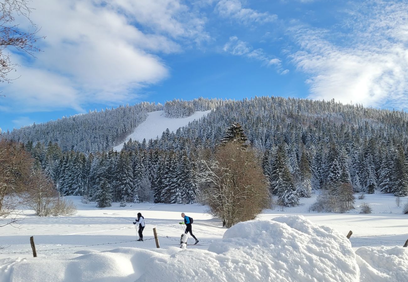 Appartement à Métabief - METABIEF - BEAUSOLEIL - Front des Pistes Appartement 4 Pers -   APPA BFP 103C