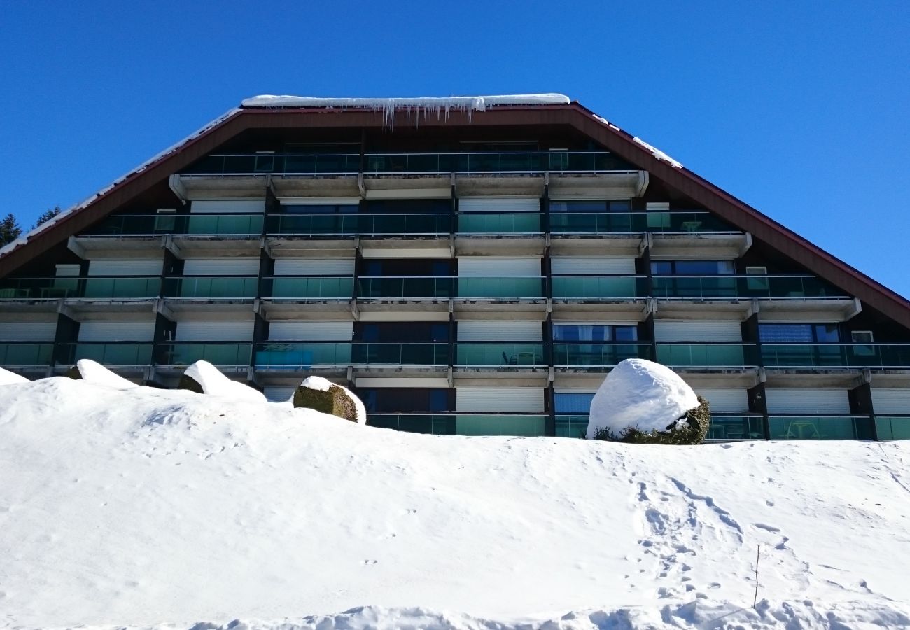 Appartement à Métabief - METABIEF - BEAUSOLEIL - Belle Etoile Appartement 6 Pers-   APPA BELLEETOILE65