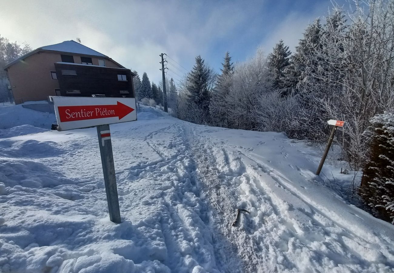 Chalet à Les Hôpitaux-Neufs - LES HOPITAUX NEUFS - MAISON 8 personnes - MAIS HNCO12 