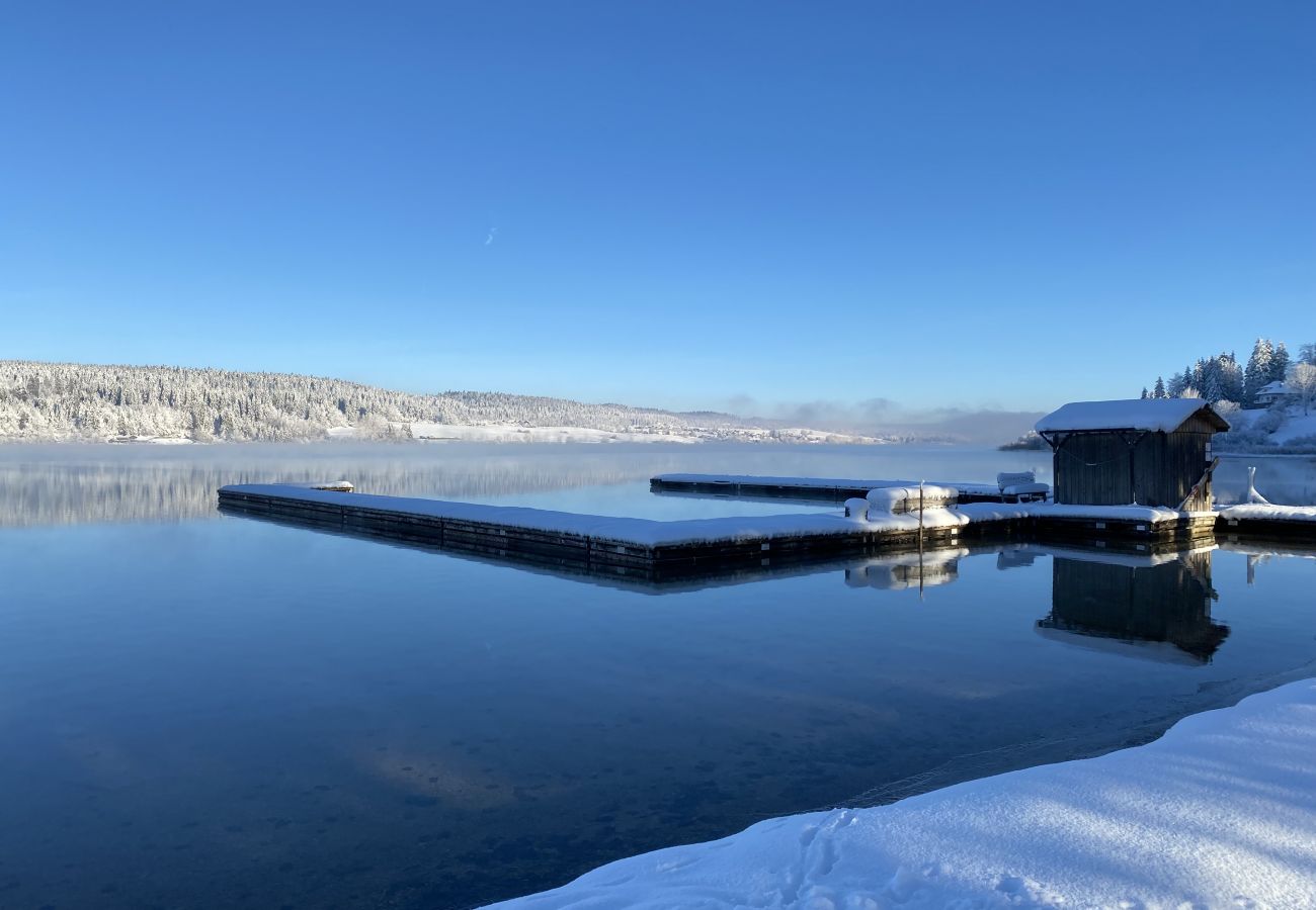 Appartement à Malbuisson - MALBUISSON -  Appartement avec vue lac