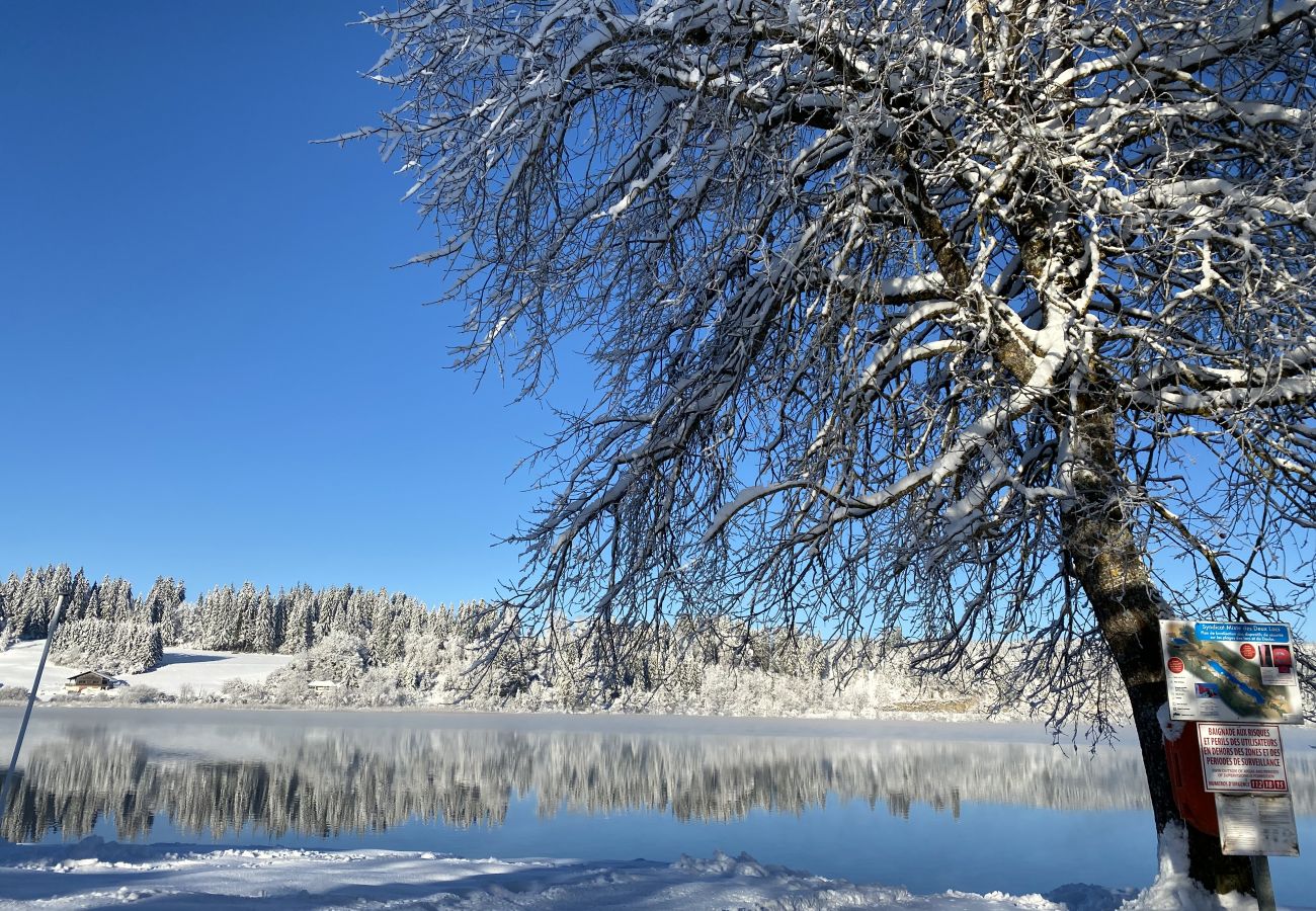 Appartement à Malbuisson - MALBUISSON -  Appartement avec vue lac